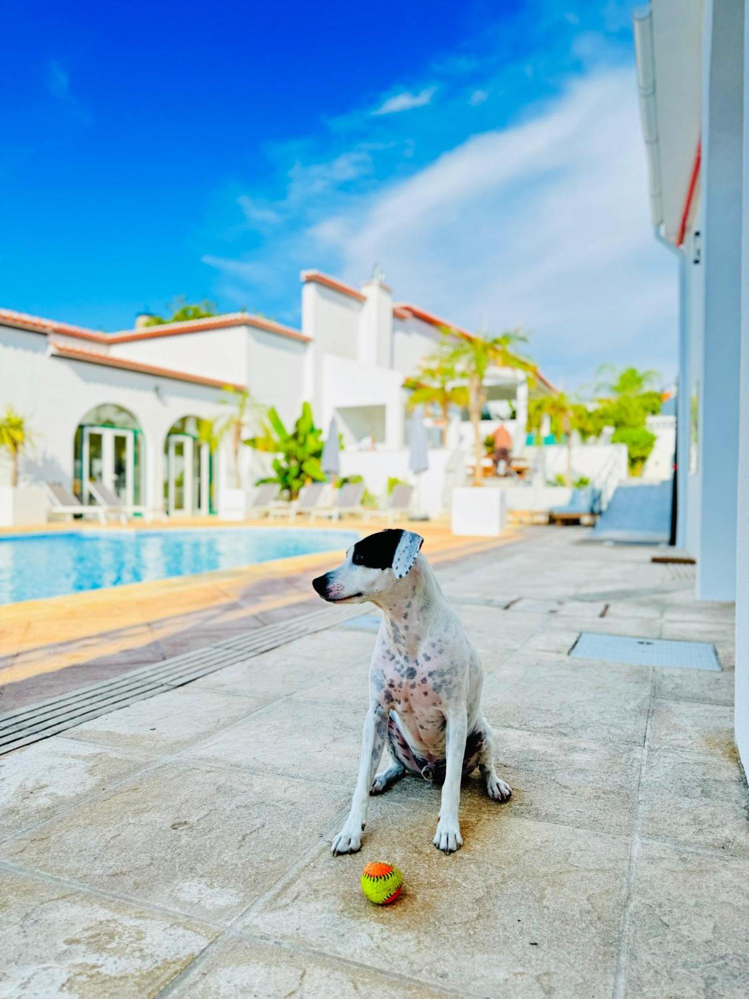 Solar Dos Frades Hotel Ferreira Do Alentejo Ngoại thất bức ảnh