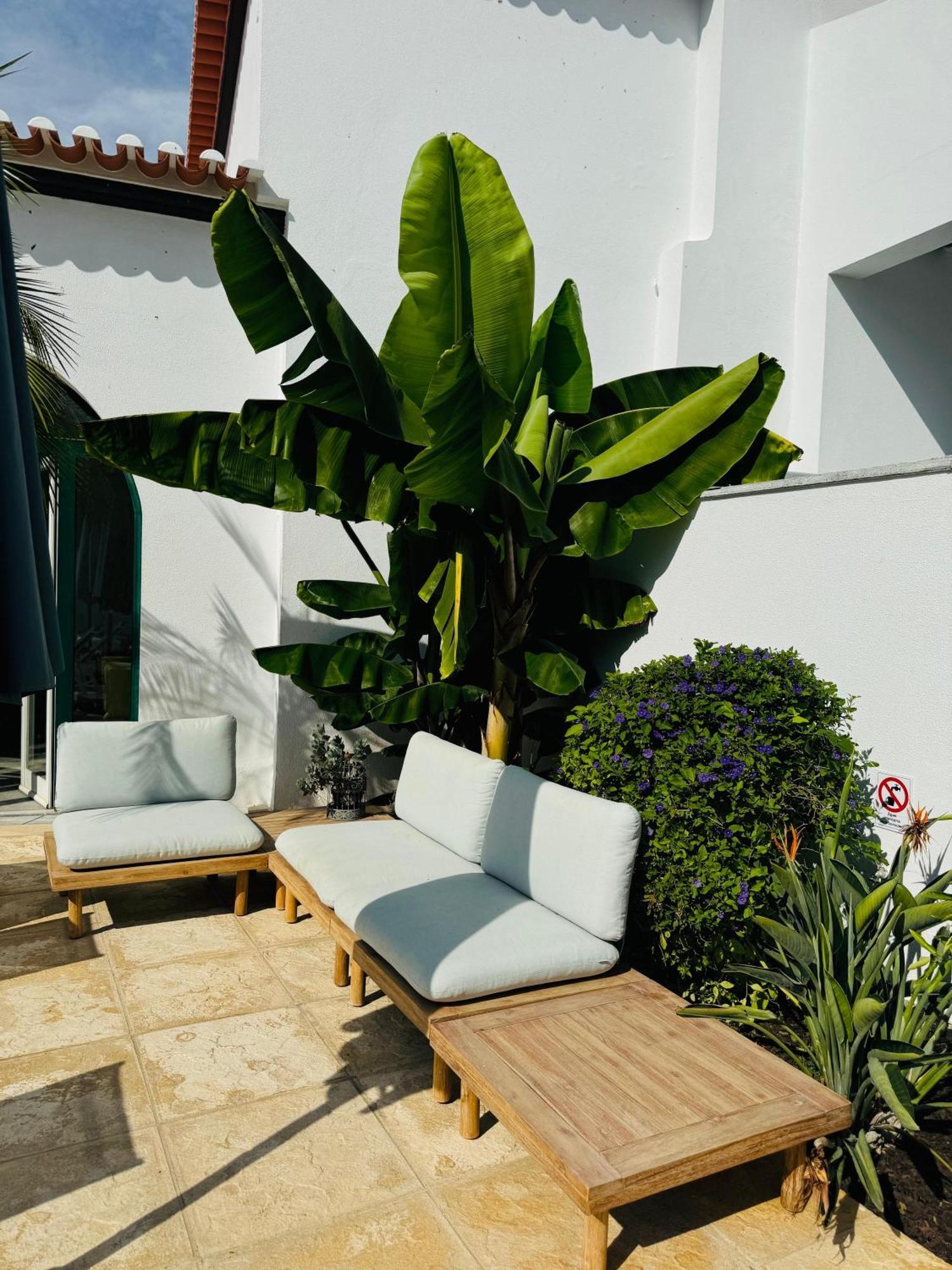 Solar Dos Frades Hotel Ferreira Do Alentejo Ngoại thất bức ảnh
